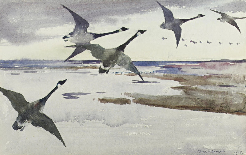 Canadiske Gæs - Frank Weston Benson