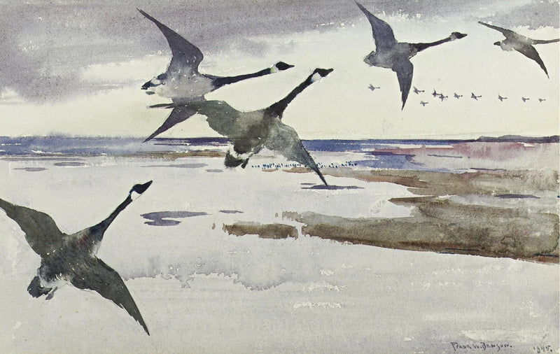 Canadiske Gæs - Frank Weston Benson