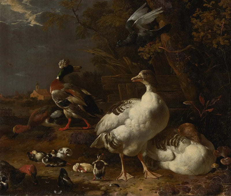 Gæs og ænder - Melchior de Hondecoeter