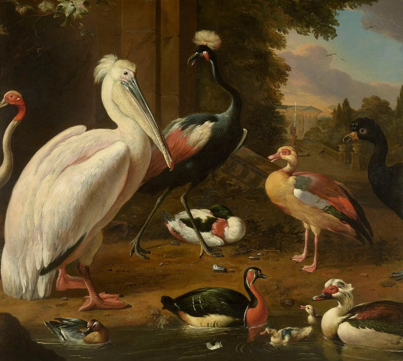 Vadefugle - Melchior de Hondecoeter