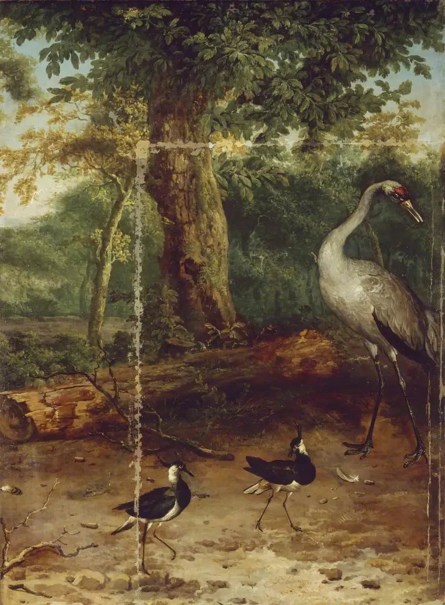 Fugle i en skov - Melchior de Hondecoeter