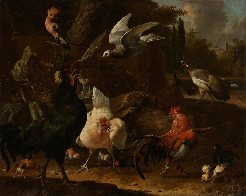 Fugle i en park - Melchior de Hondecoeter