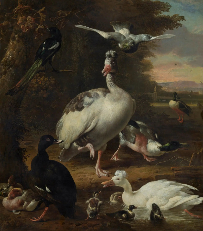 Fugle - Melchior de Hondecoeter