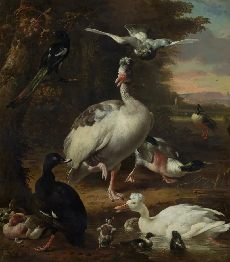 Fugle - Melchior de Hondecoeter
