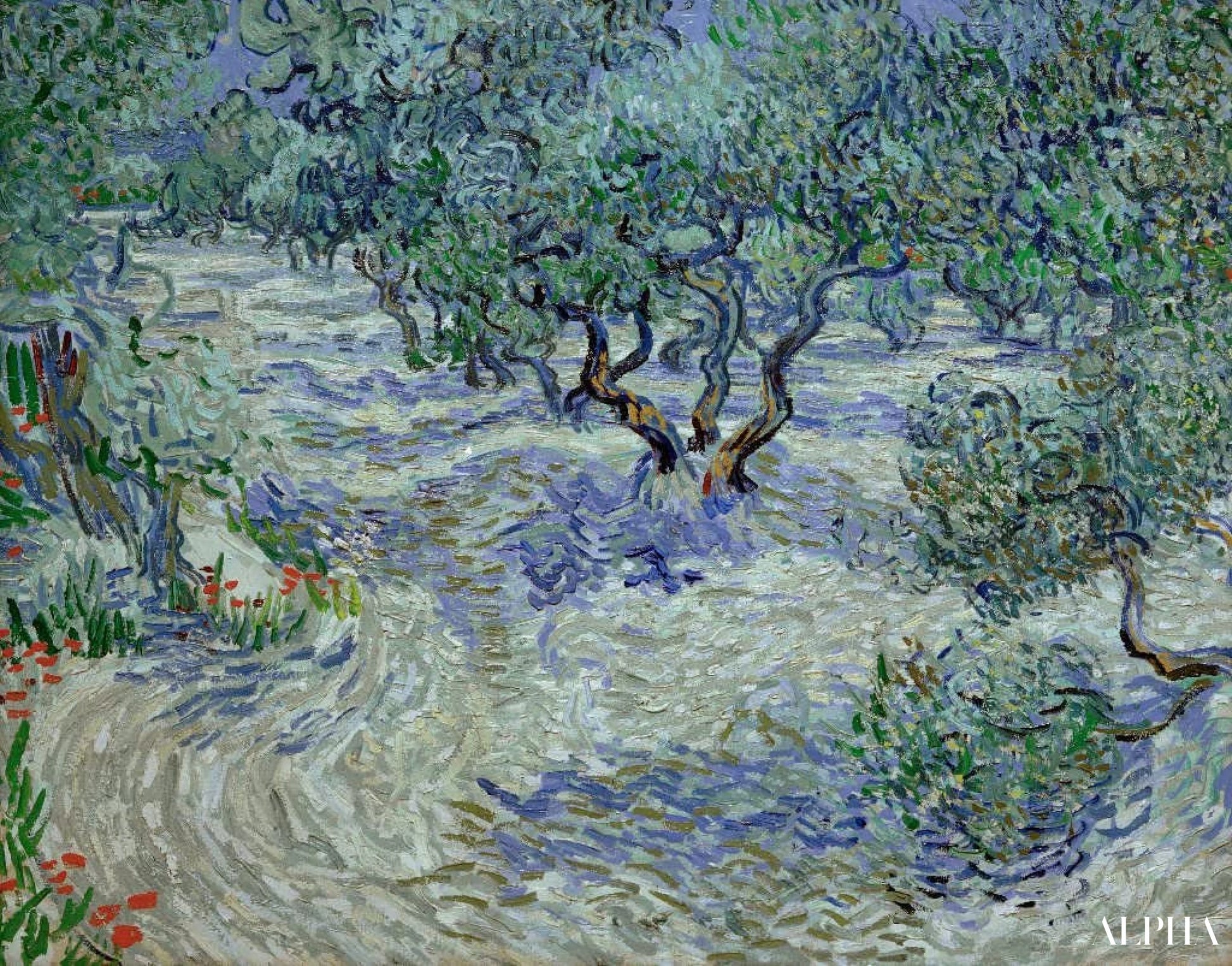 Olivenhain - Van Gogh - Reproduktioner af malerier og højkvalitets malerier