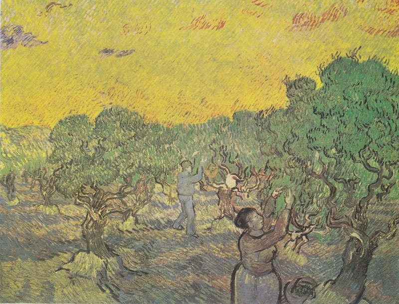 Olivengård med plukkefigurer - Vincent van Gogh