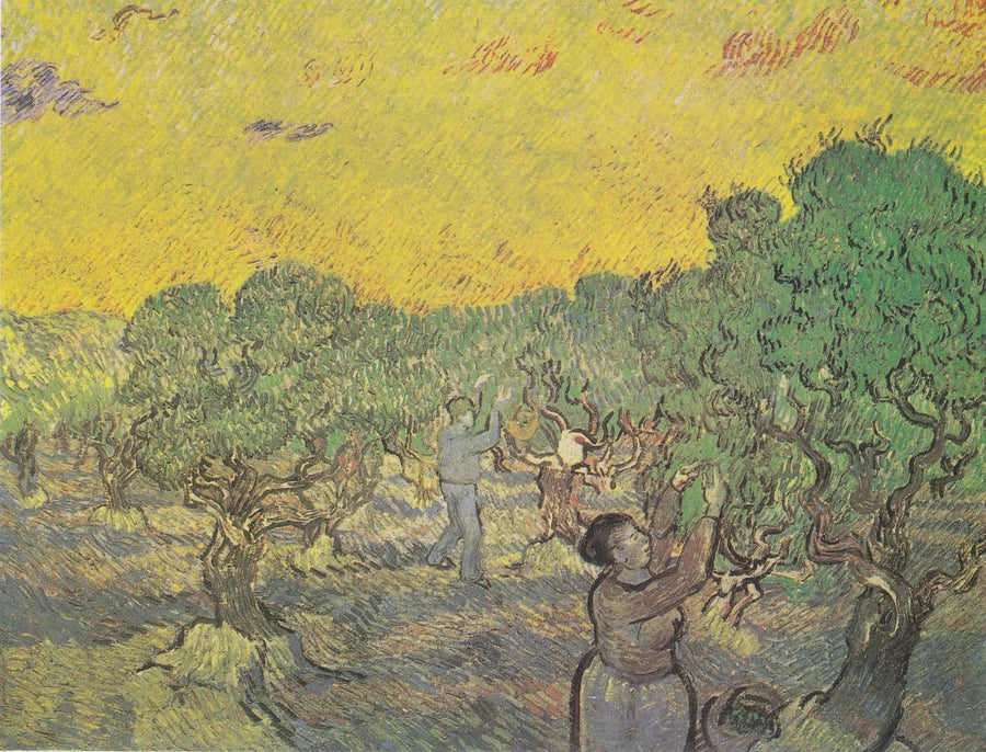 Olivengård med plukkefigurer - Vincent van Gogh