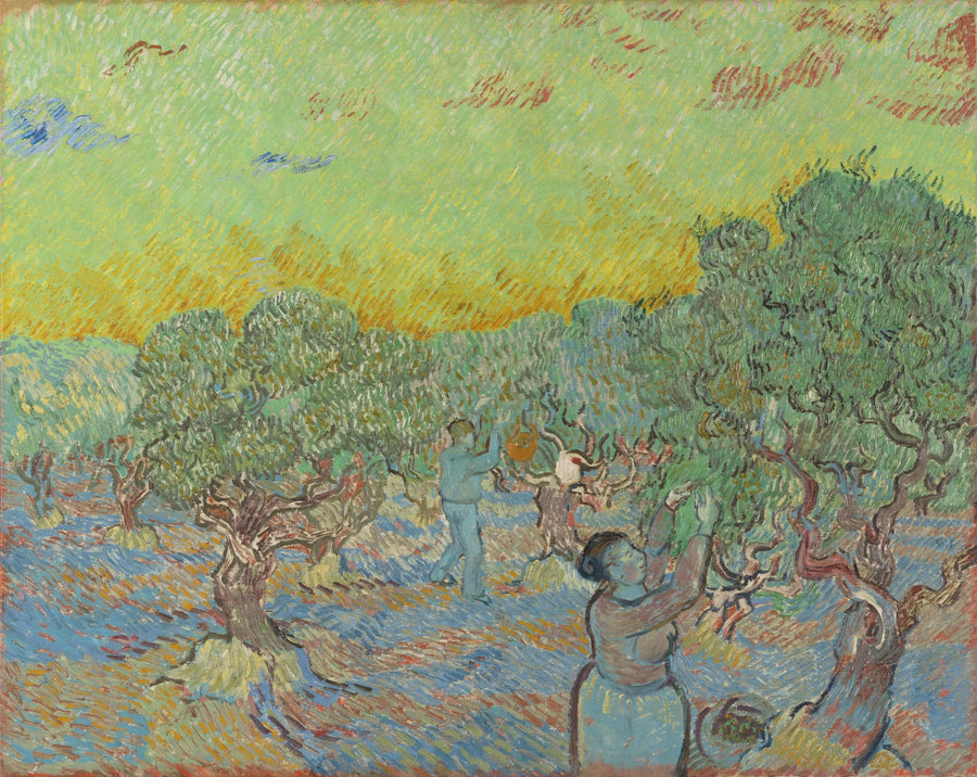 Olivengård med plukkefigurer - Vincent van Gogh