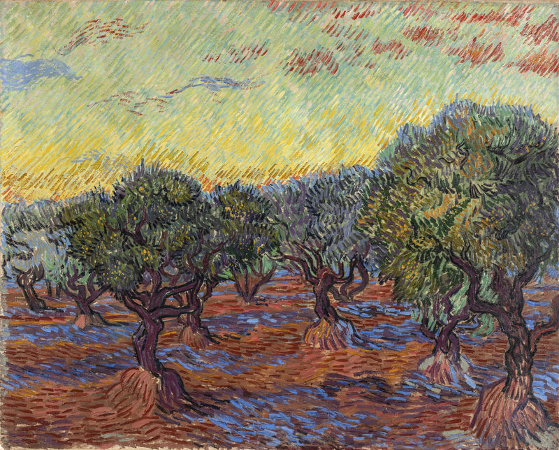 Olivenlund, Saint-Rémy - Vincent van Gogh