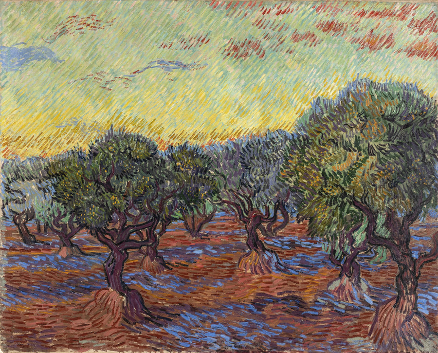 Olivenlund, Saint-Rémy - Vincent van Gogh