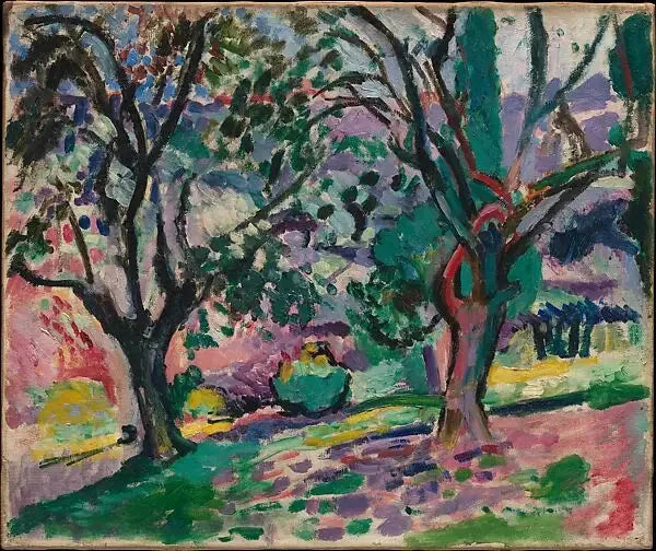 Olivtræer i Collioure - Henri Matisse
