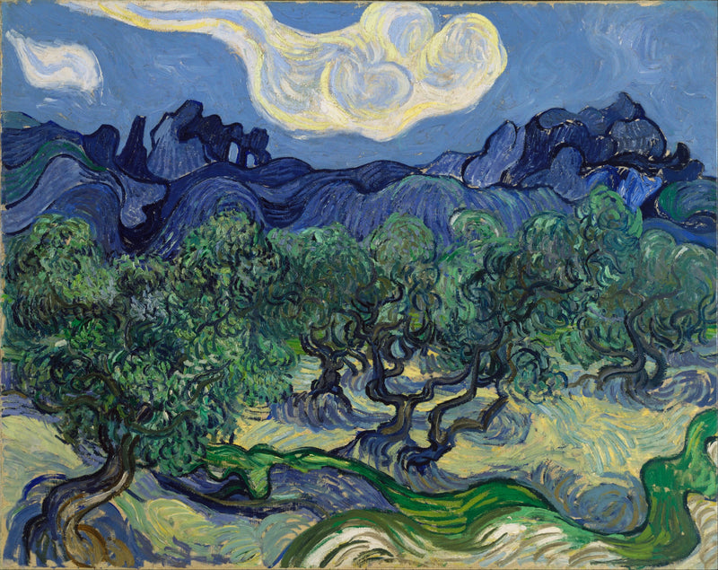 Oliventræer med Alpillerne i baggrunden - Vincent van Gogh