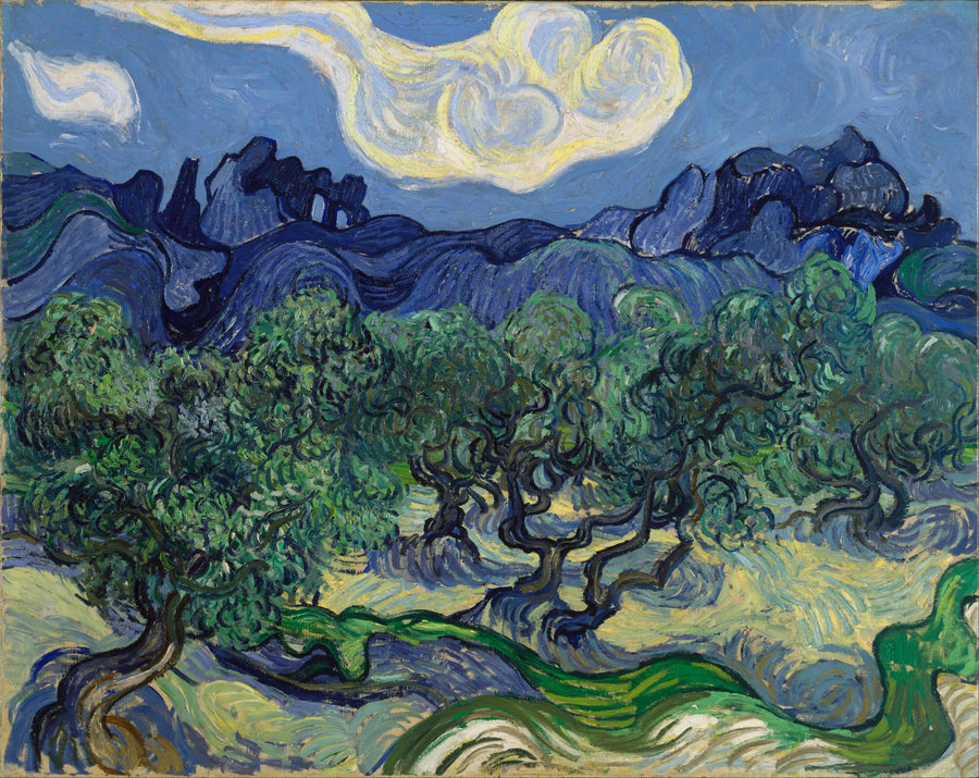 Oliventræer med Alpillerne i baggrunden - Vincent van Gogh