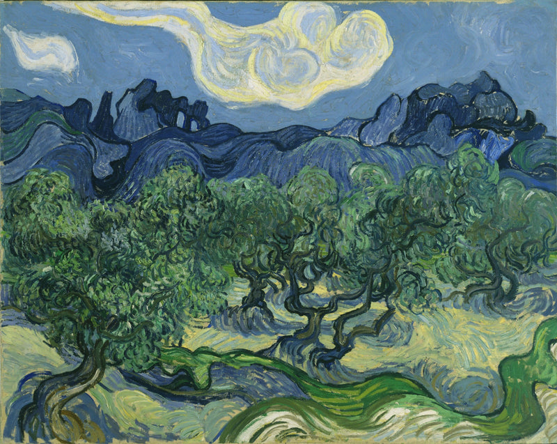 Oliventræer - Vincent van Gogh
