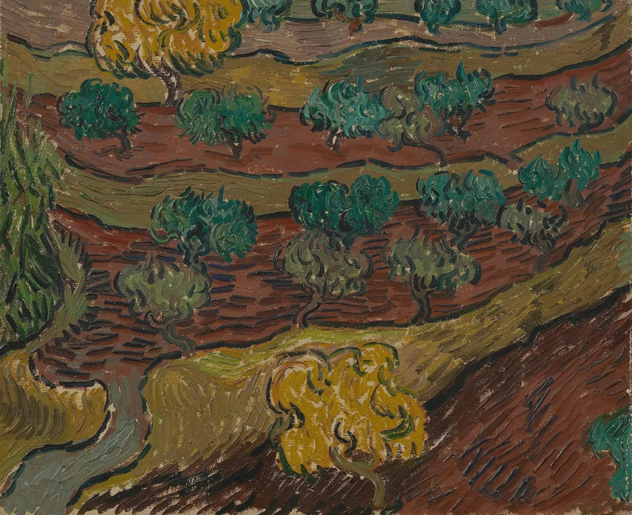 Olivenlunde på en bakke - Vincent van Gogh