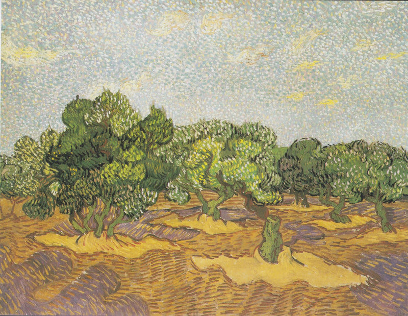 Oliventræer - Vincent van Gogh