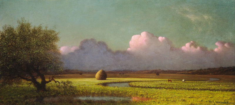 Ombre og lys: Newbury-søerne - Martin Johnson Heade