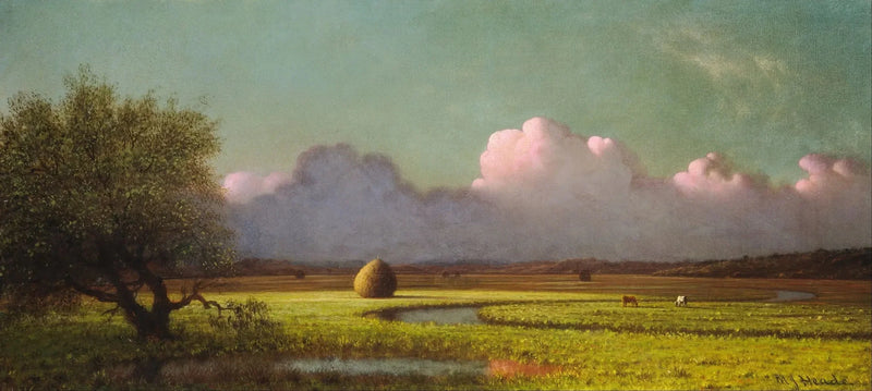 Ombre og lys: Newbury-søerne - Martin Johnson Heade