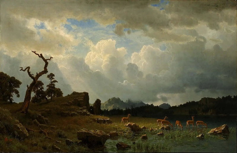 Tordenvejr i Rocky Mountains - Albert Bierstadt