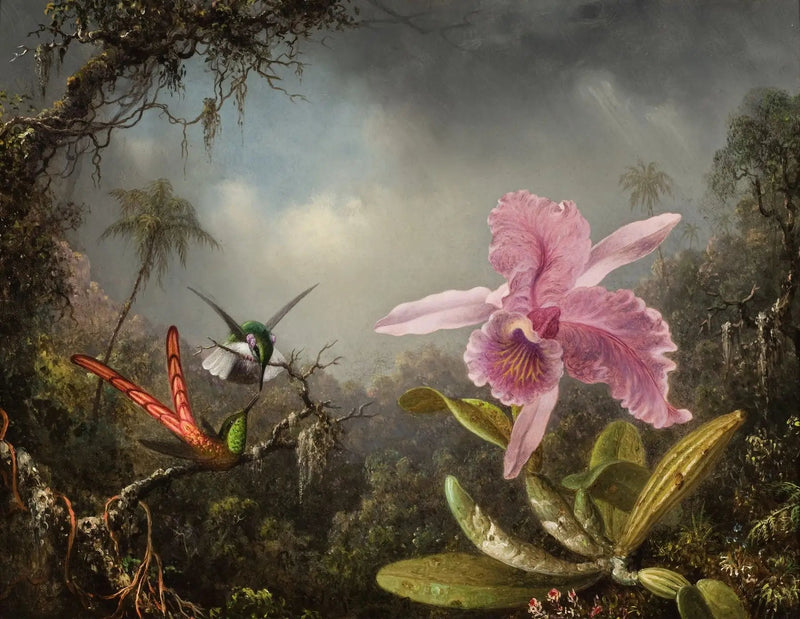 Orkidé med to kolibrier - Martin Johnson Heade