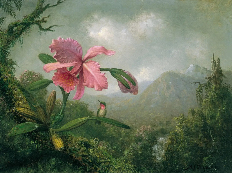 Orkidé og kolibri nær et bjergvandfald - Martin Johnson Heade