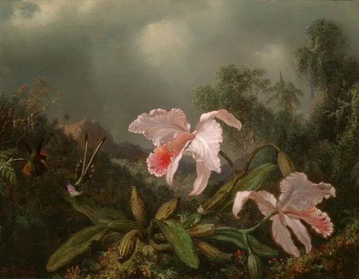 Orkidéer fra junglen og kolibrier - Martin Johnson Heade