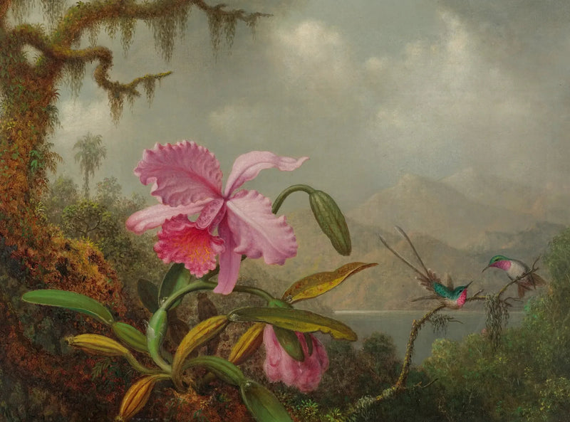 Orkidéer og kolibrier - Martin Johnson Heade