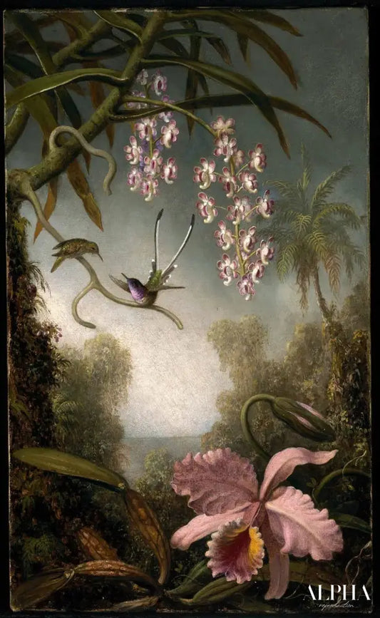 Orchidées et Spray Orchids avec Colibri - Martin Johnson Heade - Reproductions de tableaux et peintures haut de gamme