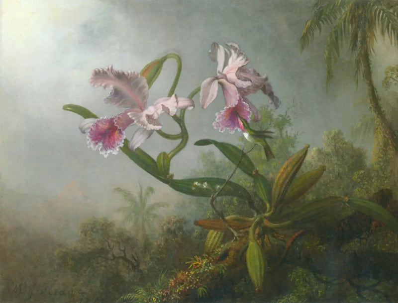 Orkidéer, roser og kolibri på en grene - Martin Johnson Heade