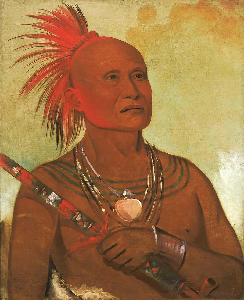 Pam-a-hó, den svømmer, en af krigerne fra Black Hawk - George Catlin