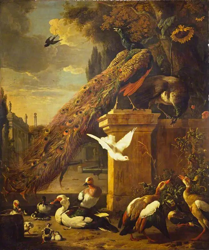 Påfugle og ænder - Melchior de Hondecoeter