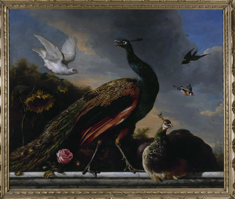 Haner, han og hun - Melchior de Hondecoeter