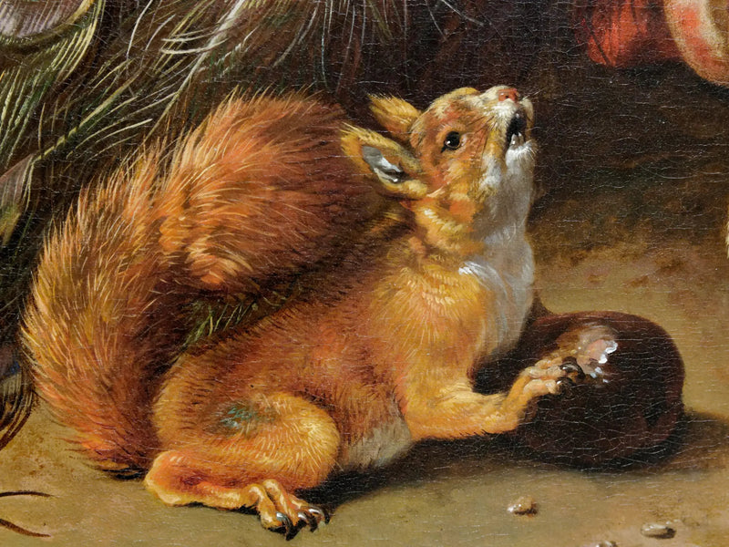 Påfugle - Melchior de Hondecoeter