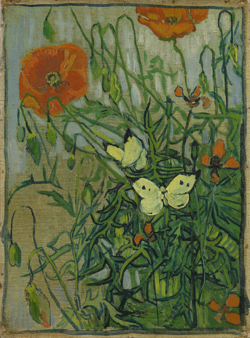 Sommerfugle og valmuer - Vincent van Gogh