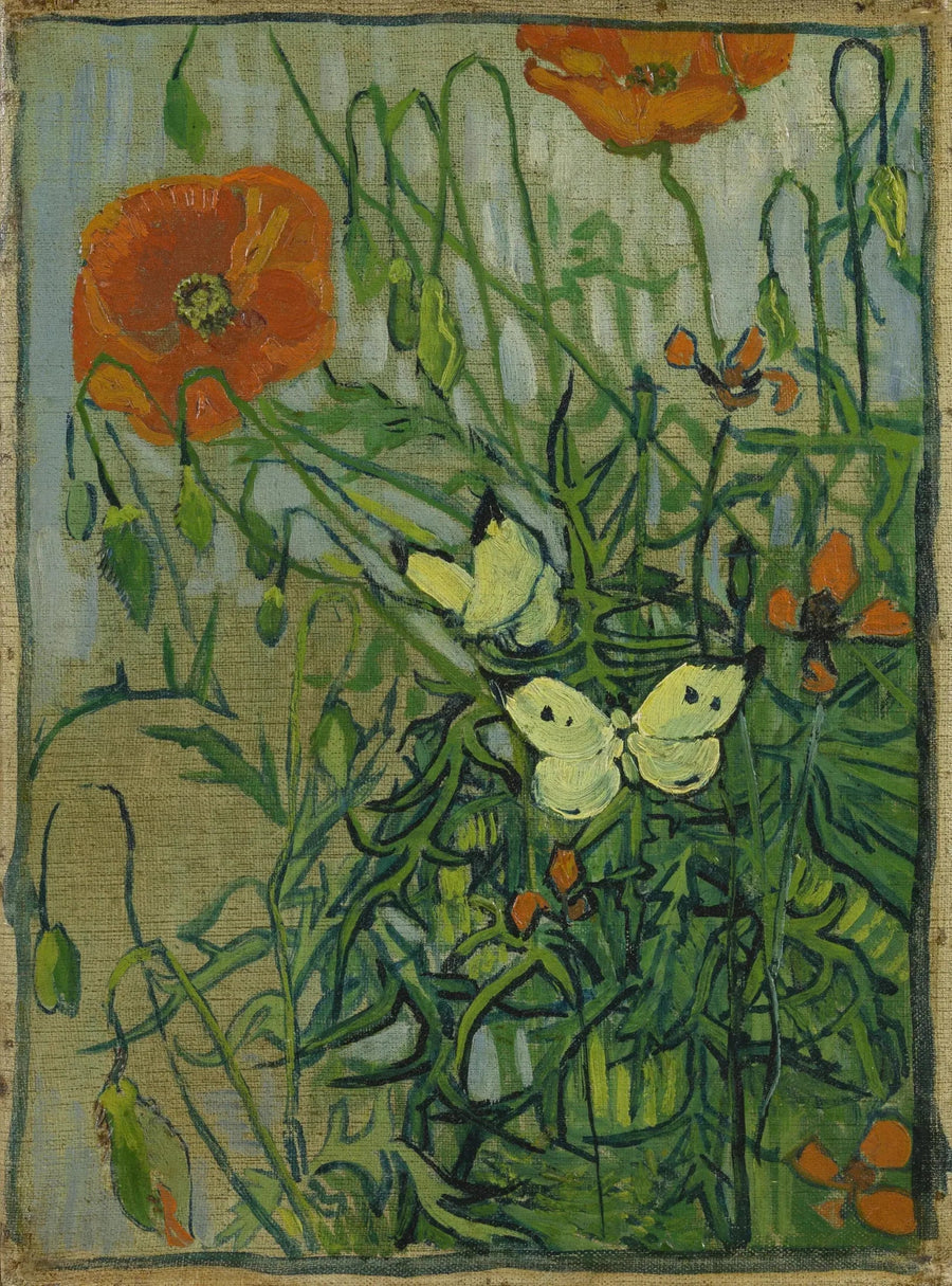 Sommerfugle og valmuer - Vincent van Gogh