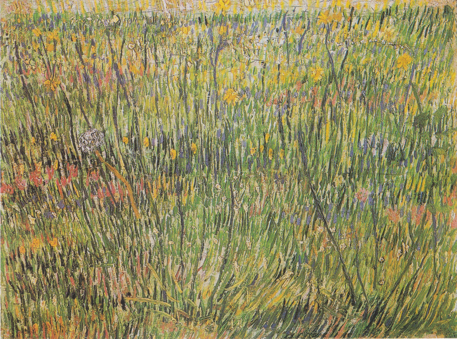Blomstrende græsgang - Vincent van Gogh
