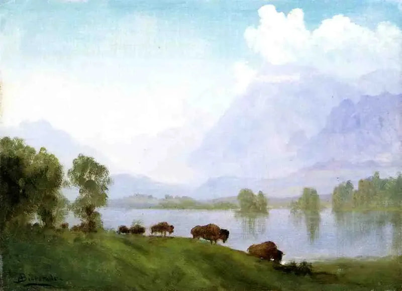 Bisonlandet - Albert Bierstadt