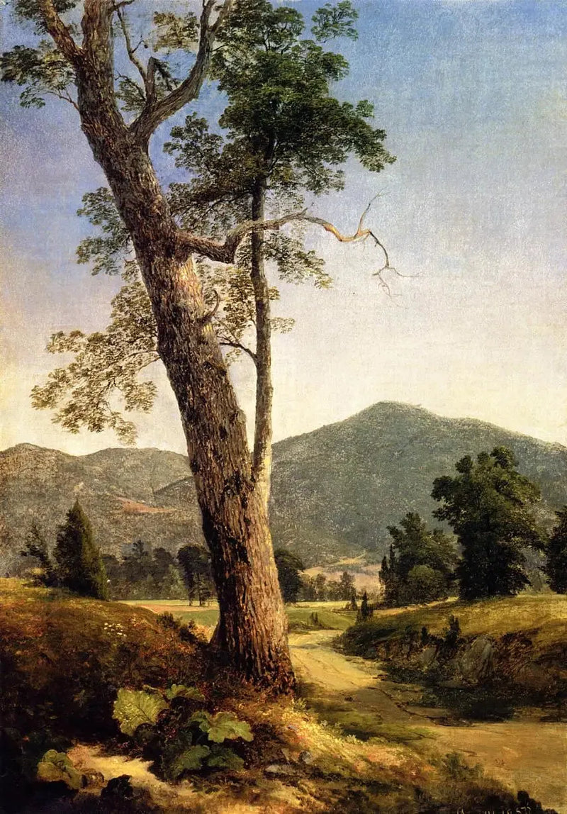 Landskab ud over træet - Asher Brown Durand