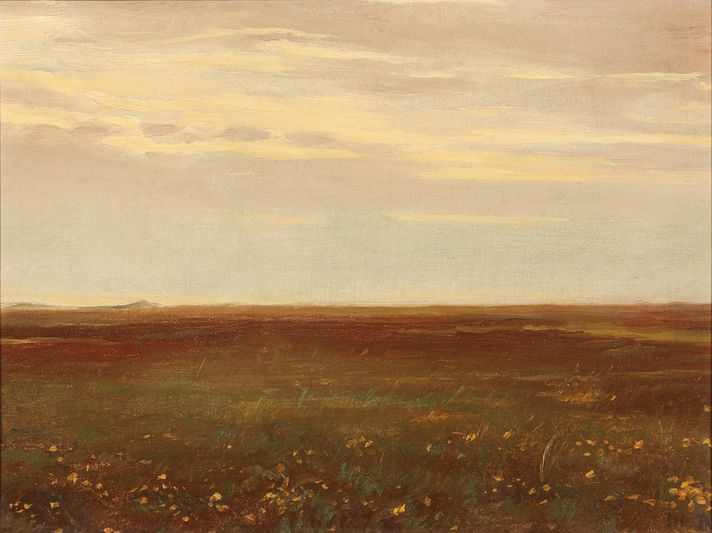 Landskab med vilde blomster. - Michael Peter Ancher