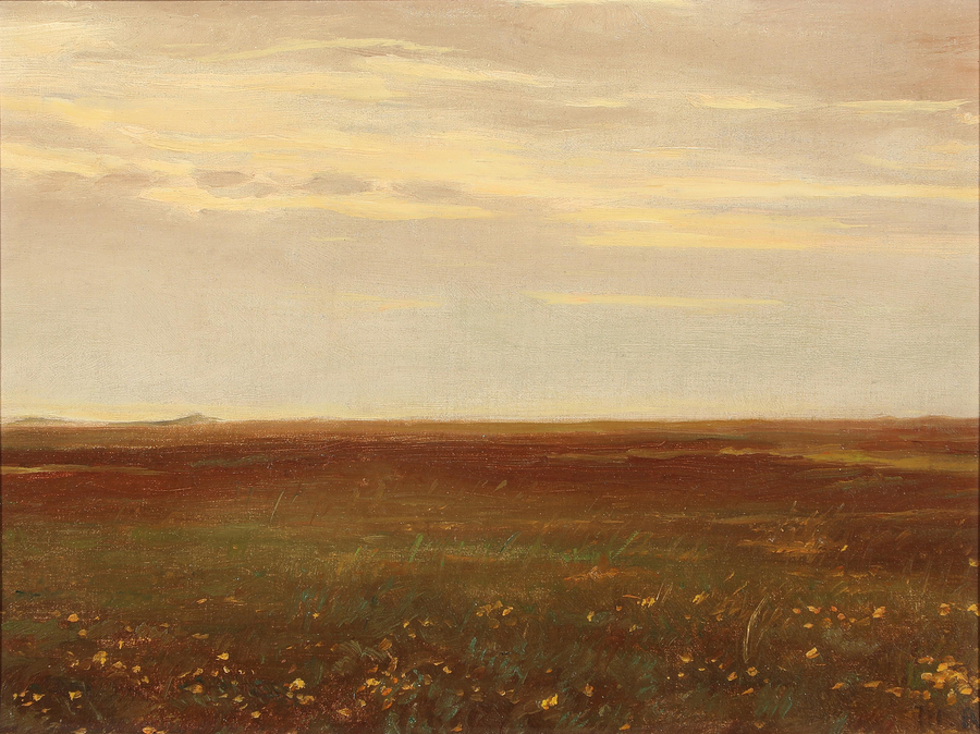 Landskab med vilde blomster. - Michael Peter Ancher