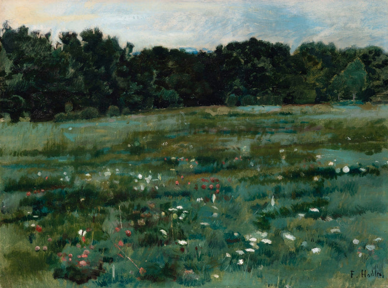 Landskab med en græsmark og skovkant - Ferdinand Hodler