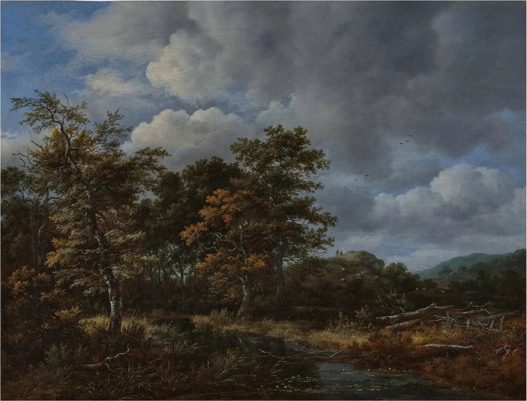 Paysage boisé avec ruisseau et bouquet d’arbres, peinture de Jacob van Ruisdael