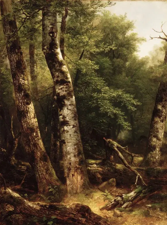 Landskab (bøgetræer og eg) - Asher Brown Durand