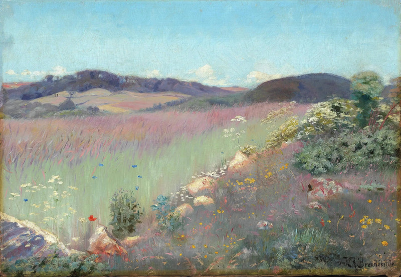 Dansk sommerlandskab med valmuer og blåklokker. - H. A. Brendekilde