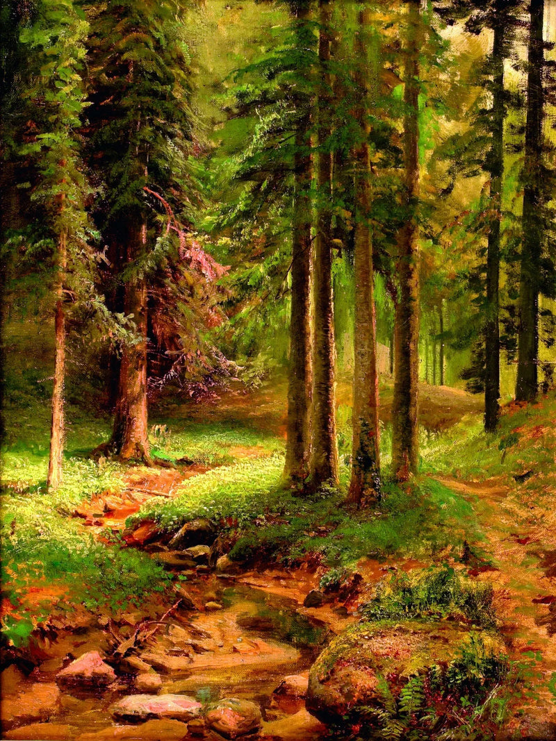 Skovlandskab - Ivan Chichkine