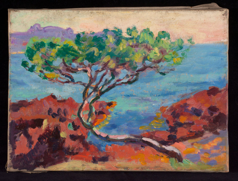 Maritimt landskab - Armand Guillaumin