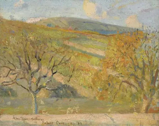 Bjerglandskab - Robert Delaunay