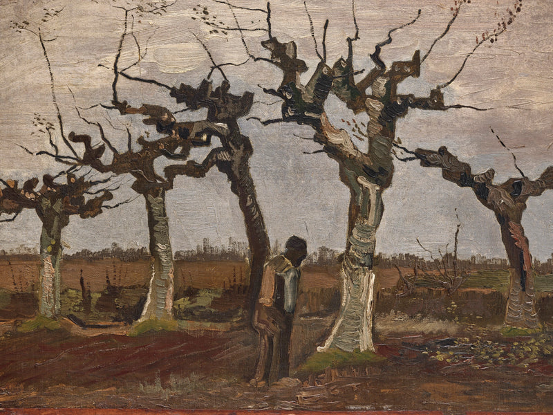 Landskab med knudrede piletræer - Vincent van Gogh