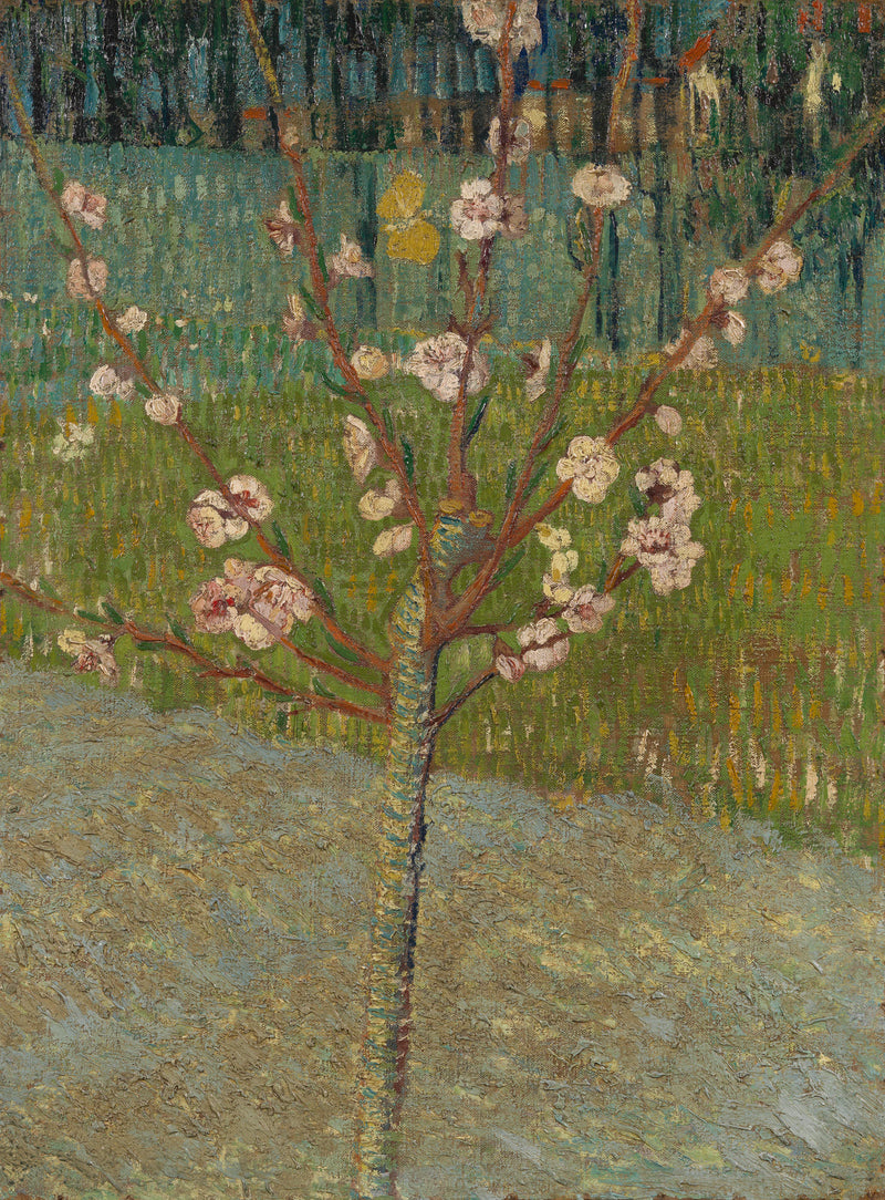 Fiskeri i blomst - Vincent van Gogh