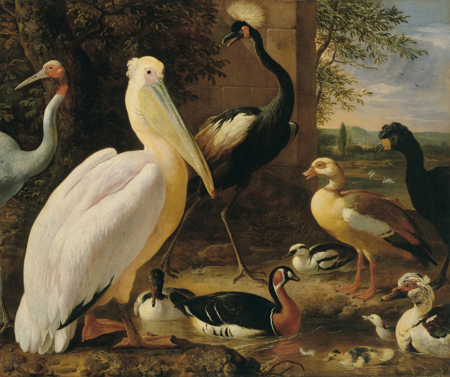 Pelikan, kronet stork, hocco, antigone-stork og ænder i et flodlandskab - Melchior de Hondecoeter